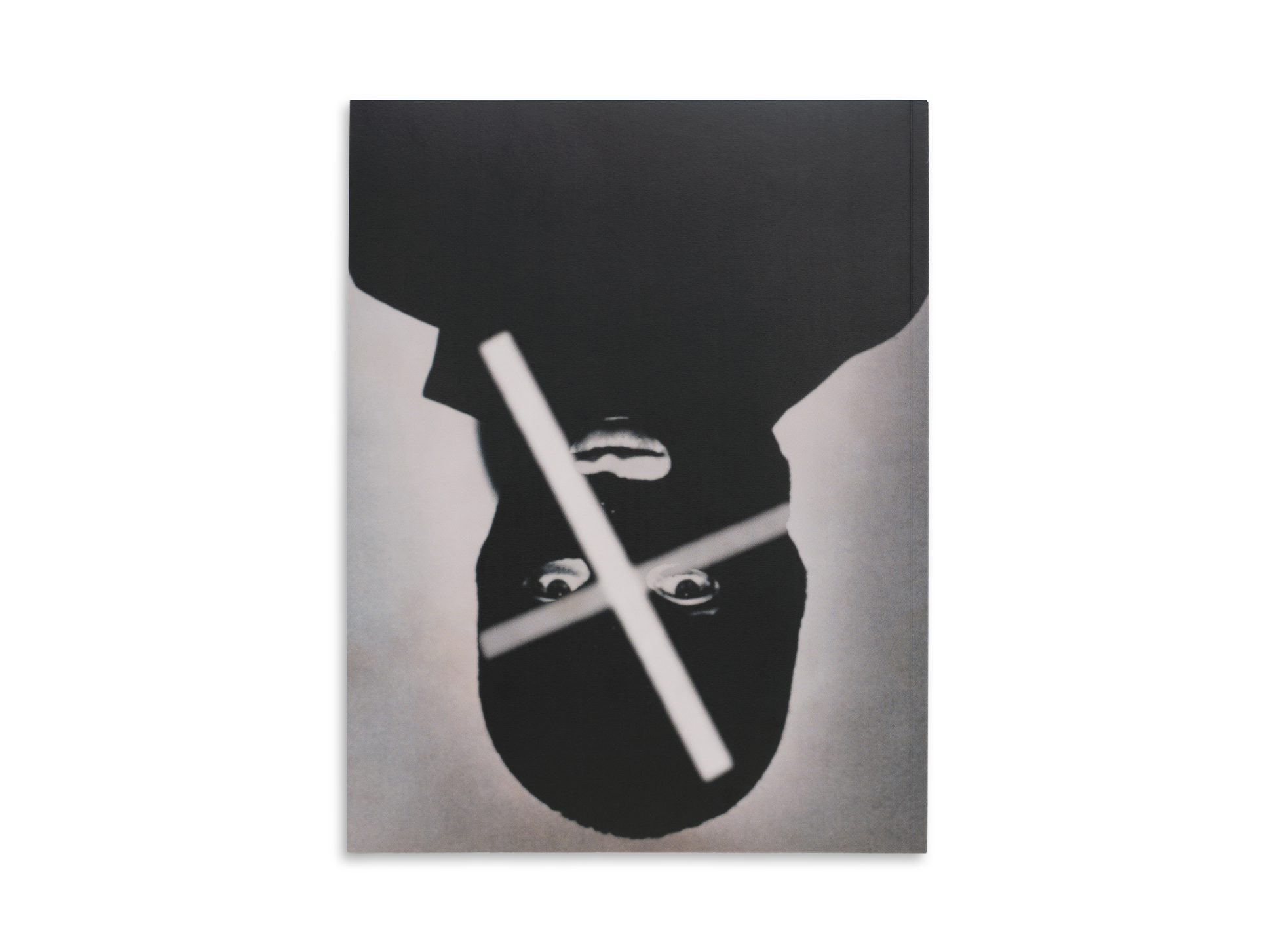 DISPUTATIONS ON ANARCHY, ASSHOLISM AND ART BOOK