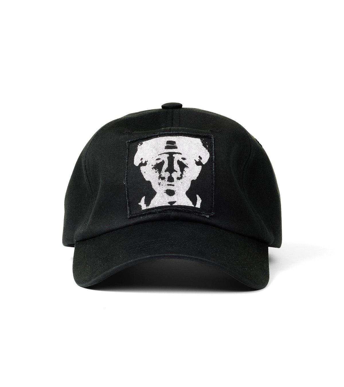 A black baseball cap featuring a rectangular patch on the front with a white graphic portrait of Albert Einstein wearing a hat, set against a plain white background.
