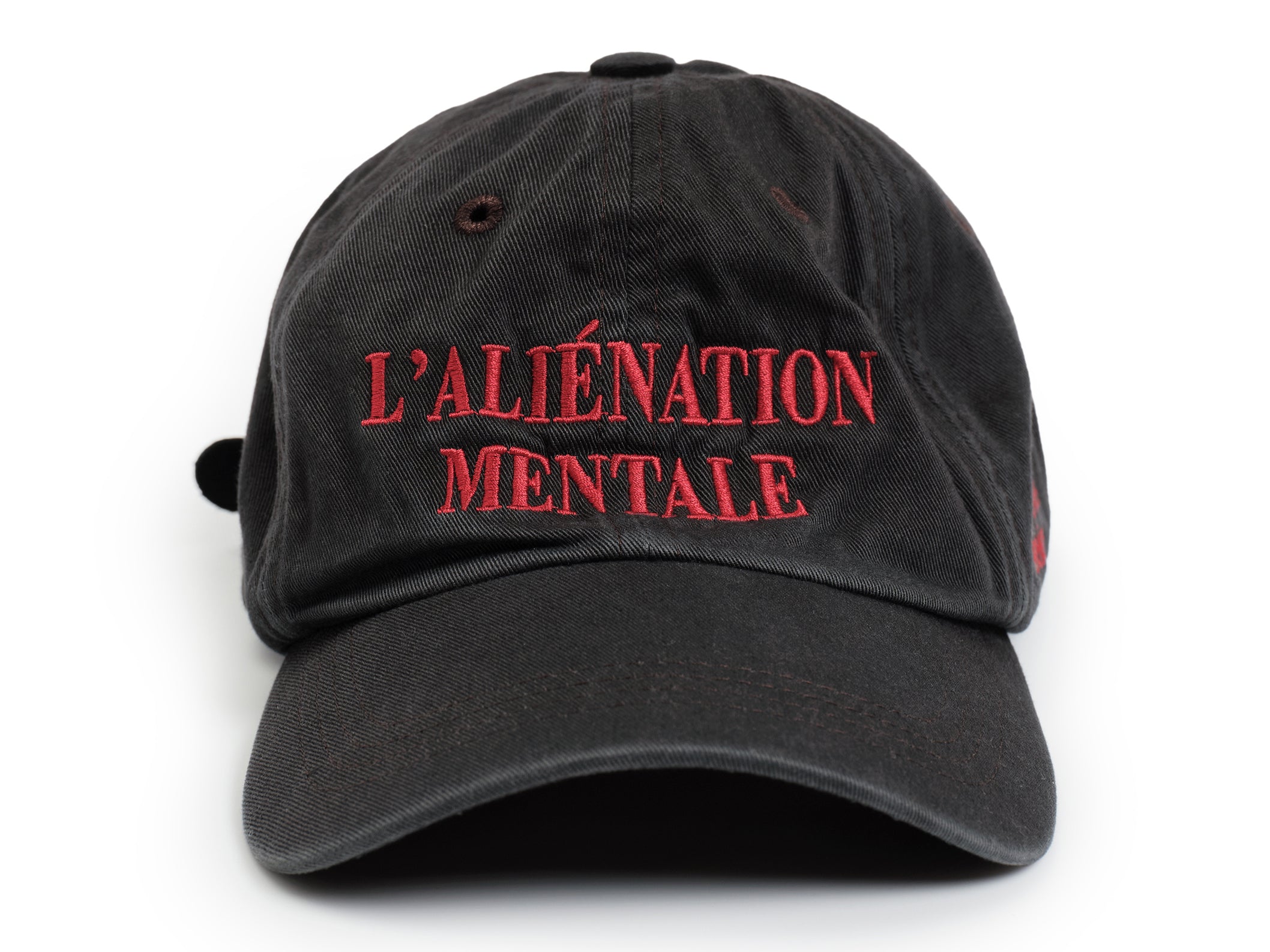 L'ALIÉNATION MENTALE HAT
