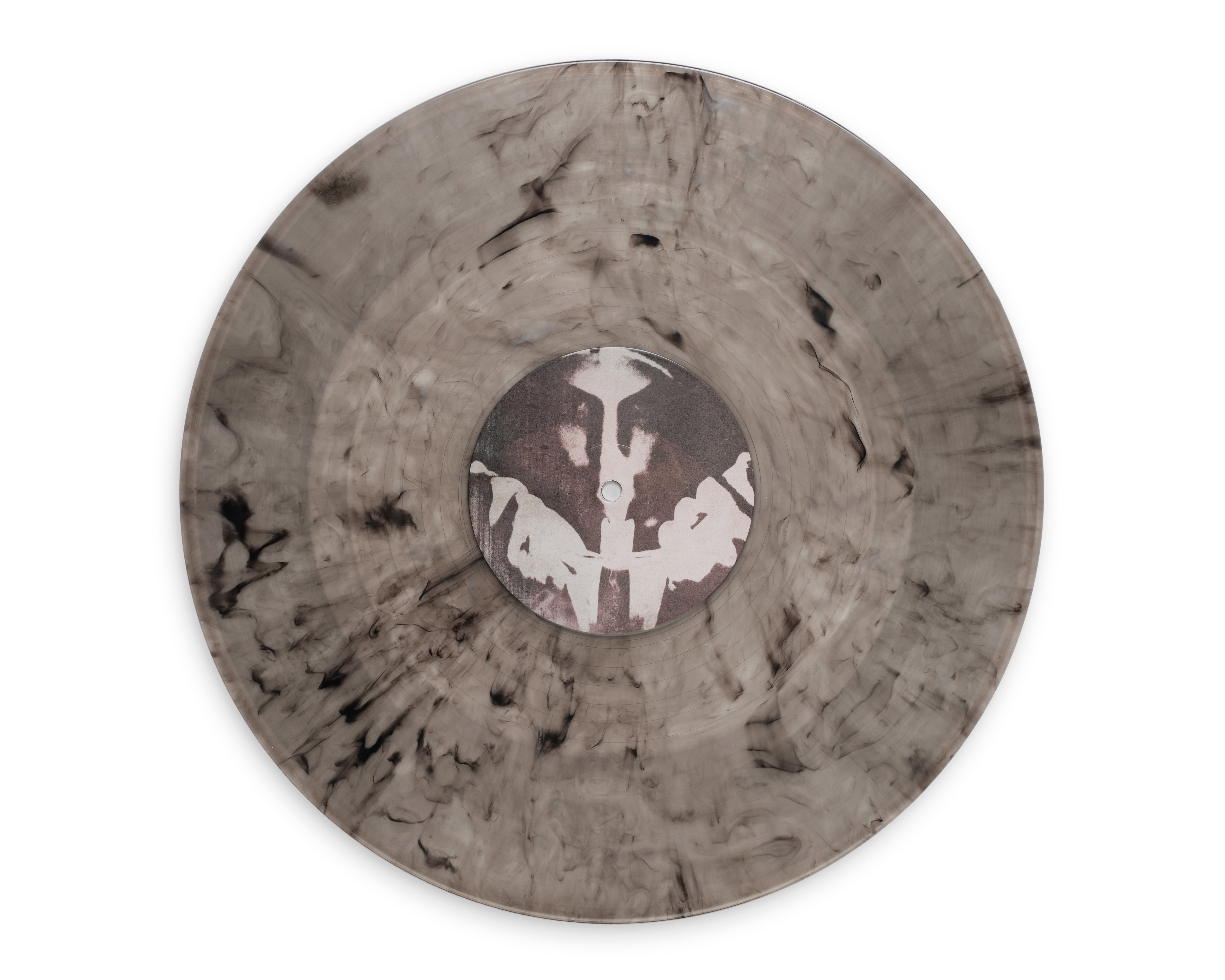 FILTH AND DEGREGATION VINYL