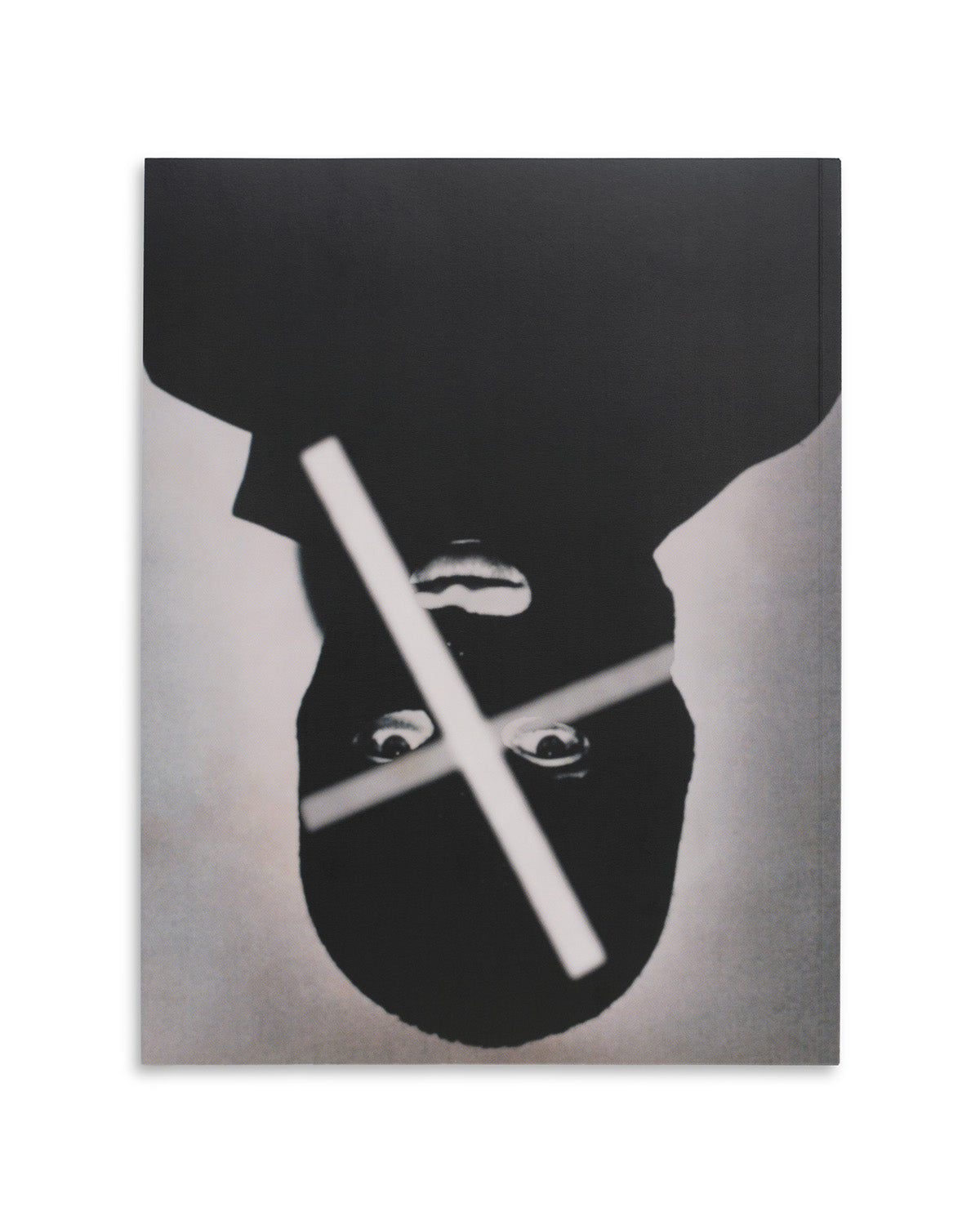 DISPUTATIONS ON ANARCHY, ASSHOLISM AND ART BOOK